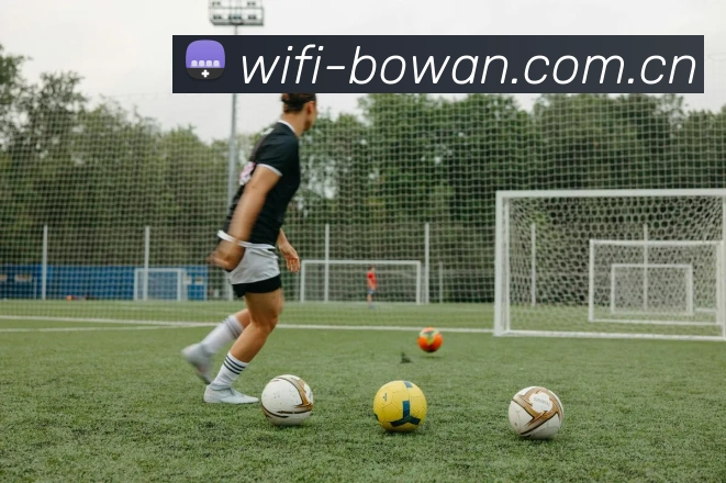 BOWAN「官方」博万体育 · 体育赛事与资讯平台 巴西队